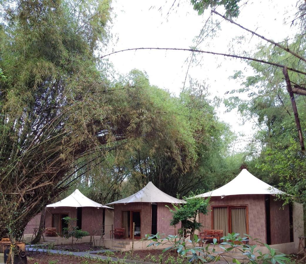 Jawa Jiwa G-Land Resort Dadapan Buitenkant foto