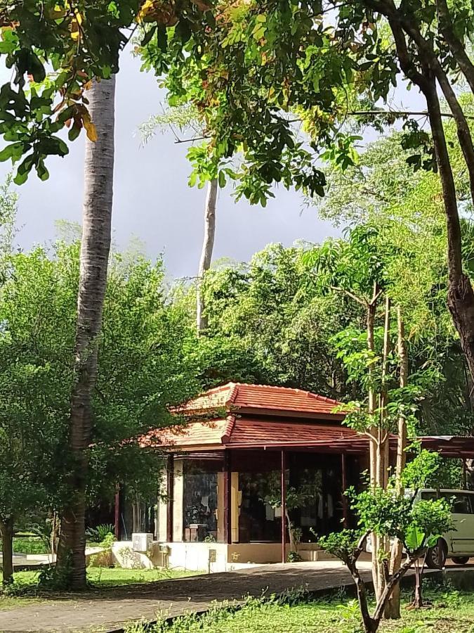Jawa Jiwa G-Land Resort Dadapan Buitenkant foto
