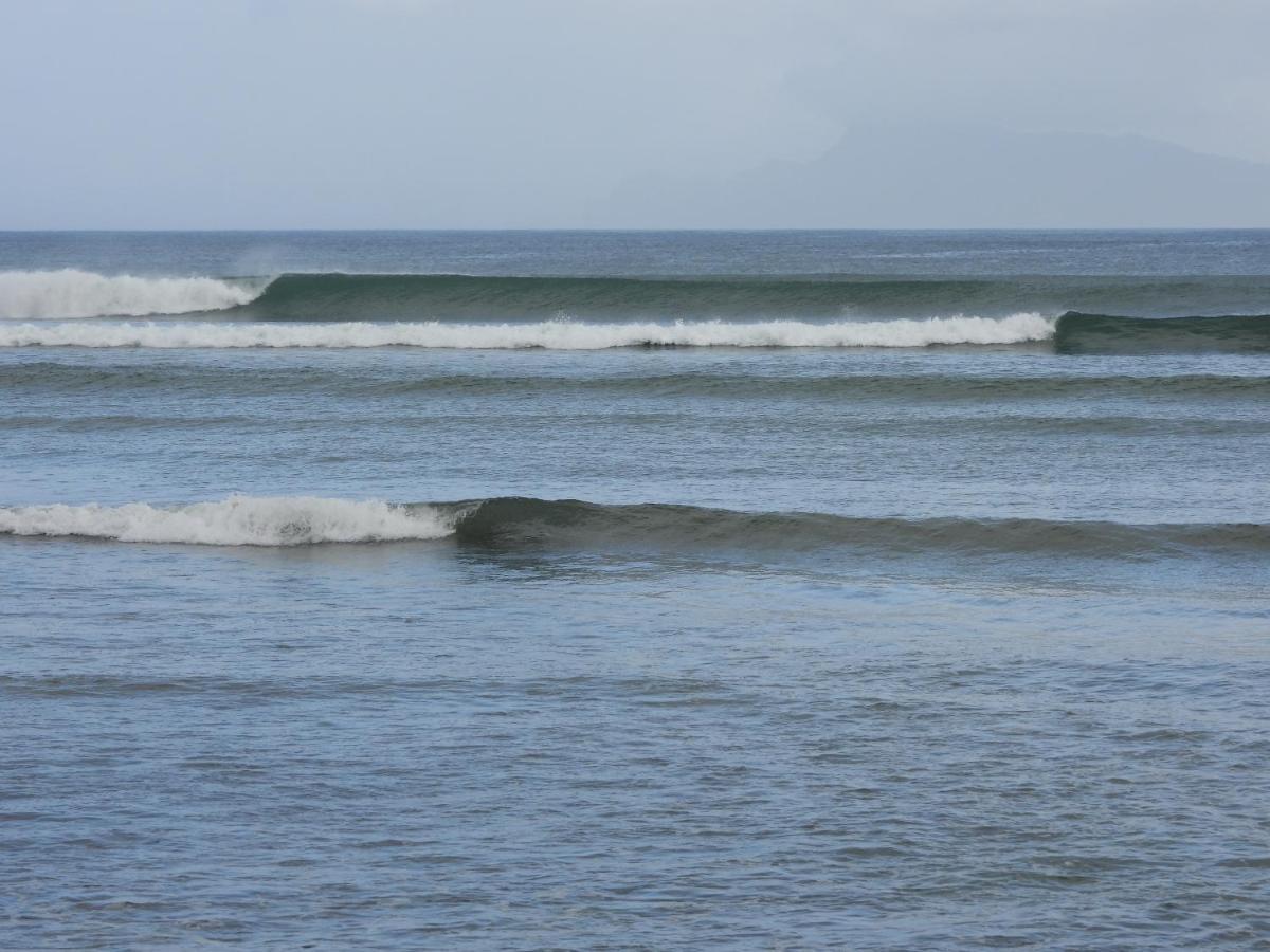 Jawa Jiwa G-Land Resort Dadapan Buitenkant foto