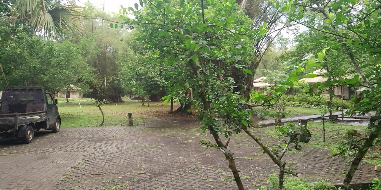 Jawa Jiwa G-Land Resort Dadapan Buitenkant foto