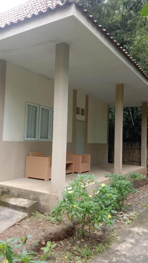 Jawa Jiwa G-Land Resort Dadapan Buitenkant foto
